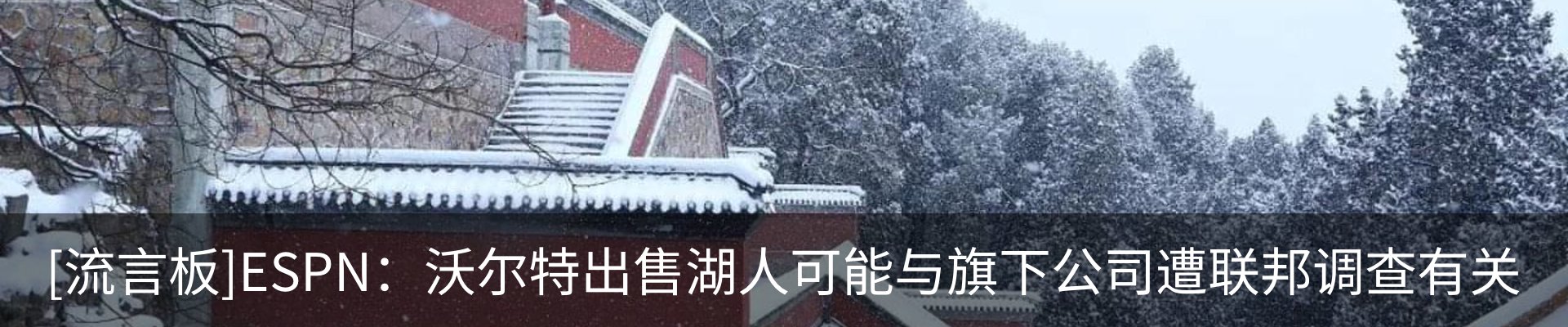 新闻动态